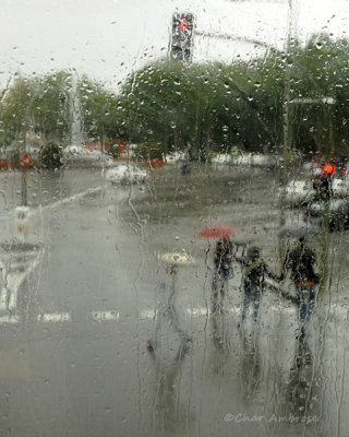  Crossing the Street in the Rain