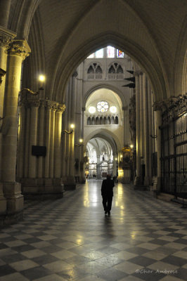 Catedral Primada Santa Mara de Toledo