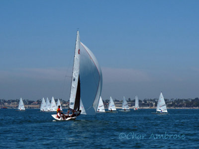 Sailing in Long Beach