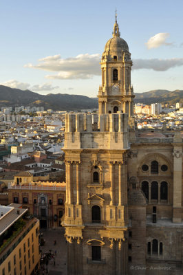 Malaga Cathedral Main Tower