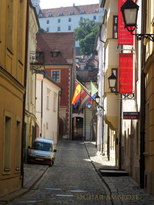 Bratislava Street Scene