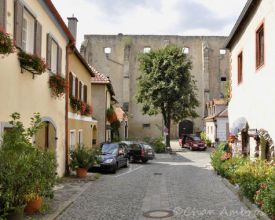 Ancient Wall at the end of the Lane