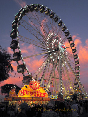 Funnel Cakes and Ferris Wheels