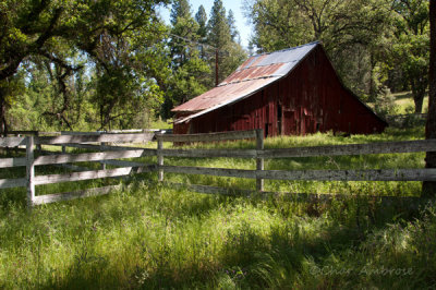 Old Barn at Yosemite