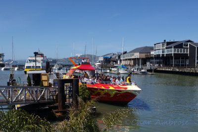 Fishermans Wharf Sightseeing 