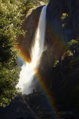 Yosemite Falls Rainbow 1190
