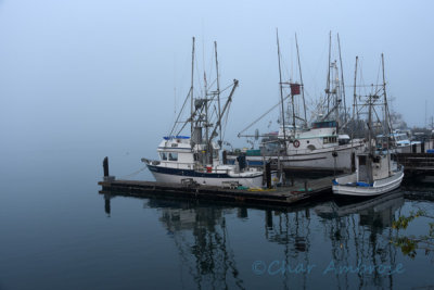 Foggy Morning, Morro Bay Harbor