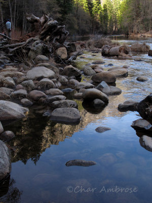 Yosemite Reflections 