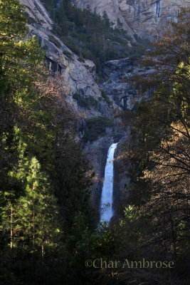Lower Yosemite Falls 3219