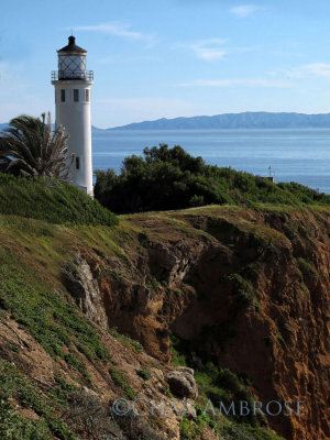 Point Vicente Lighthouse 3854