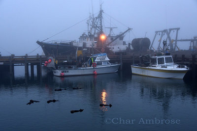 Foggy Harbor Morro Bay 1934