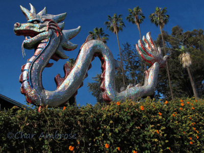 Lotus Festival Dragon