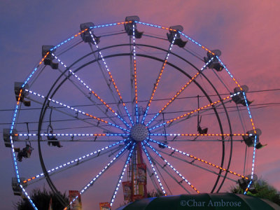 Ferris Wheel 4805
