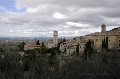 Overview of Assisi