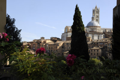 Overview of Siena 