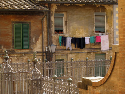 Laundry Day in Siena