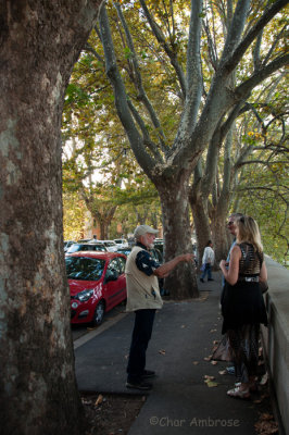 Walking along the Lungotevere in Rome