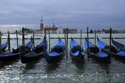 Parked Gondolas in front of St. Mark's Square