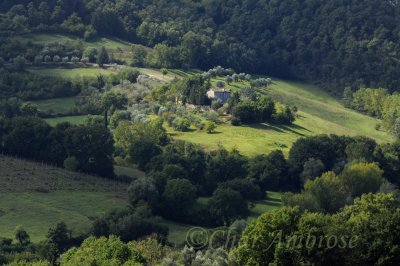 Tuscan Farmhouse near Chiusi