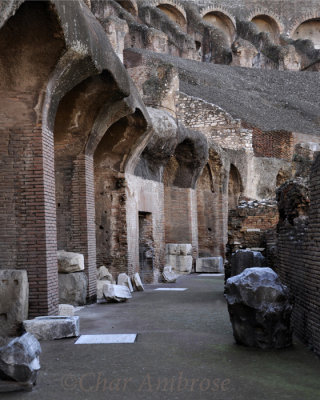 Inside the Colosseum