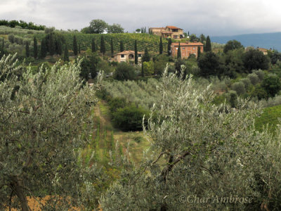 View of the Countryside from Sant' Antimo