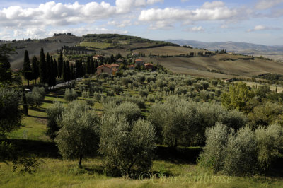Val d Orcia Countryside