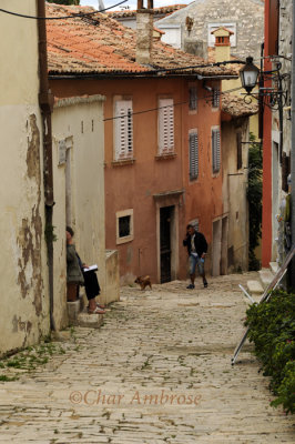 Street in Rovinj