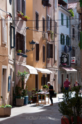 Painter on the Street, Piran