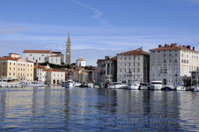 The Piran Harbor