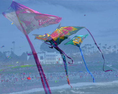 Kite Festival 2