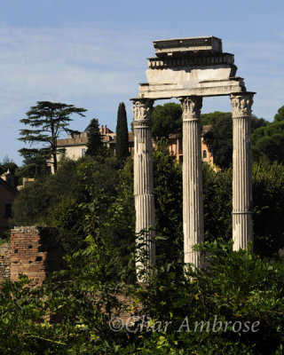 Temple of Castor and Pollux