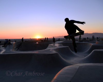 Venice Beach Skate Park at Sunset
