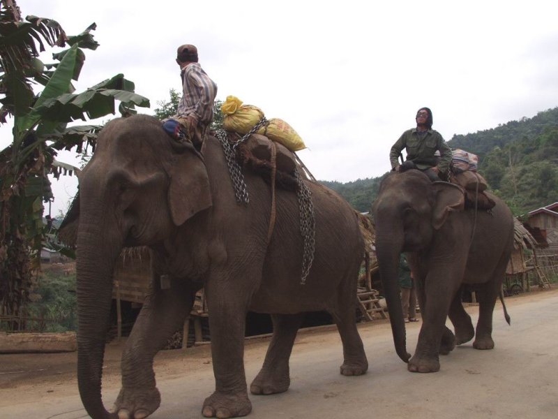 Laos