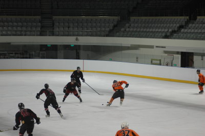 DSC_2877.JPG