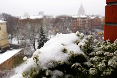 30.11.2012