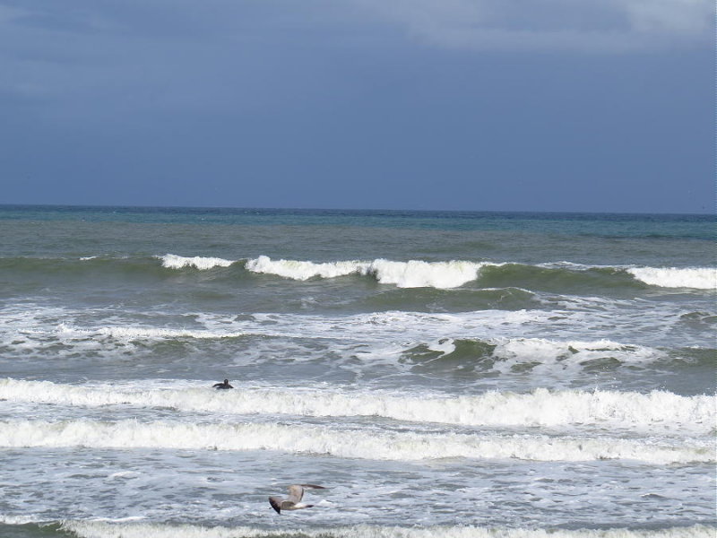 IMG_9601 2.JPG