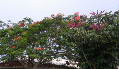 DSCN0848 2.JPG