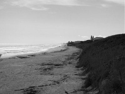 DSCF1843 2.JPG