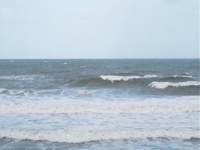 DSCF1890 2.JPG