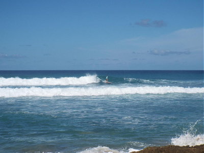 DSCF2294 2.JPG