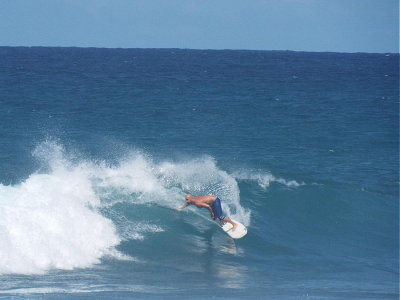 DSCF2382 2.JPG