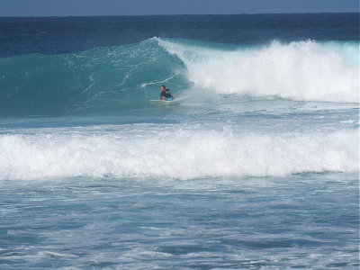 DSCF3203 2.JPG
