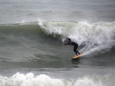 IMG_9783 2.JPG