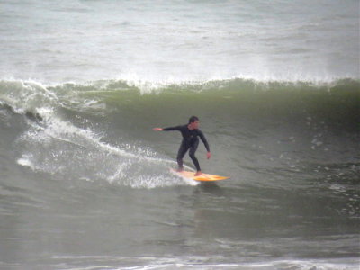 IMG_9795 2.JPG