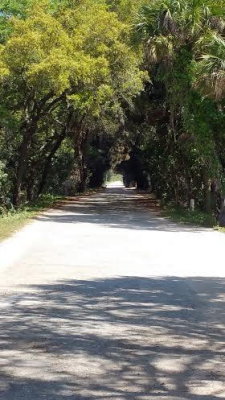 road 2.jpg