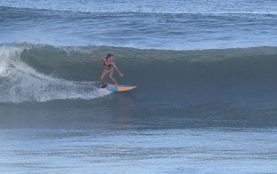 IMG_5951a.jpg
