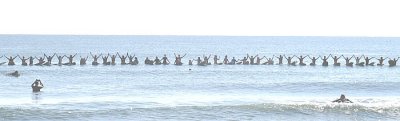 IMG_8737a.jpg
