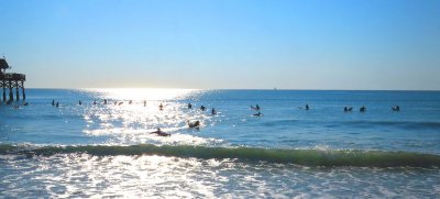 IMG_0214a.jpg