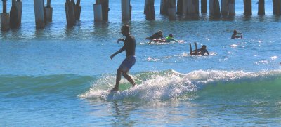 IMG_0220a.jpg