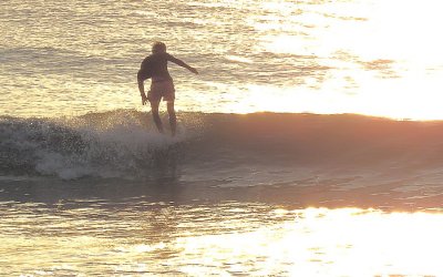 IMG_0348a.jpg